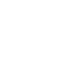 Security Firms and Consultants
